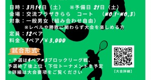 第2回　大会チラシ